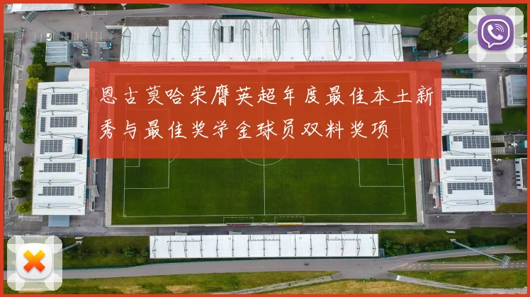 恩古莫哈荣膺英超年度最佳本土新秀与最佳奖学金球员双料奖项